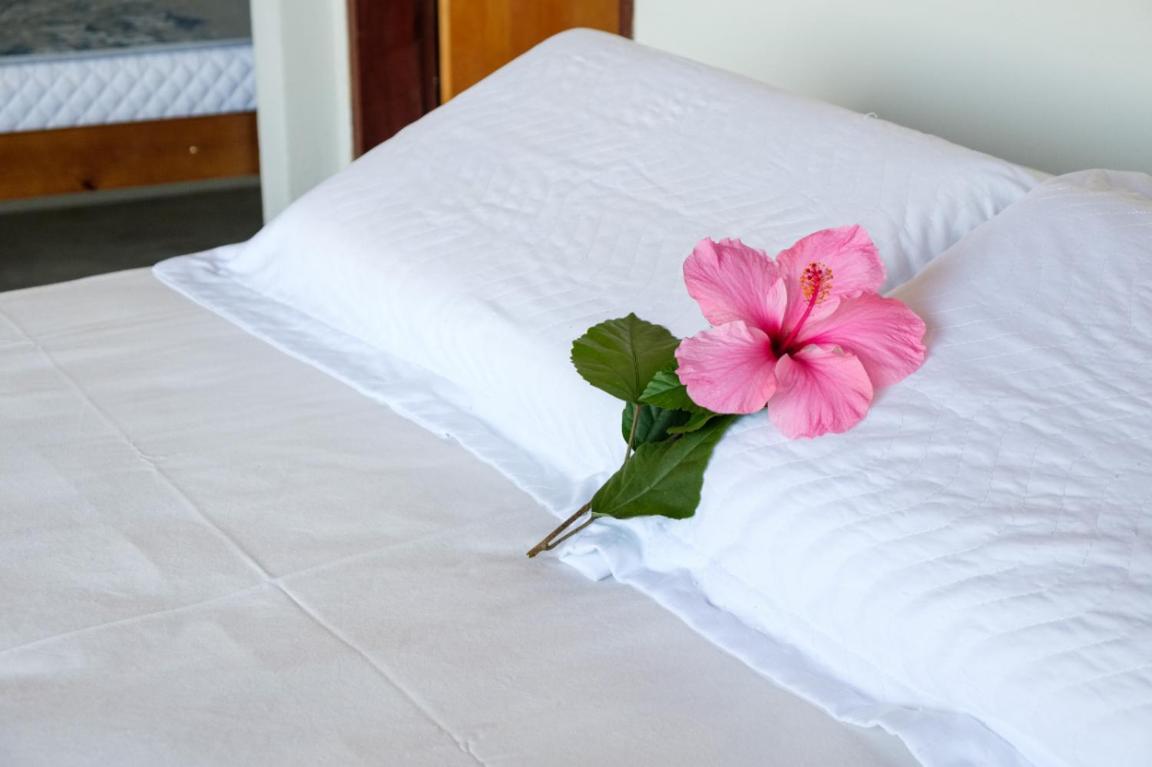 Haleiwa Chales E Suites - A Guest House Do Prumirim Ubatuba Eksteriør bilde
